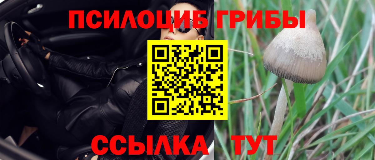 закладки  Псилоцибиновые грибы Magic Shrooms  Чайковский  Вход с VPN  Галлюциногенные грибы Magic Shrooms 